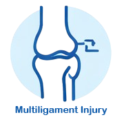 https://drpraneetorthogoa.com/wp-content/uploads/2026/04/Multi-Ligament-Injury.png